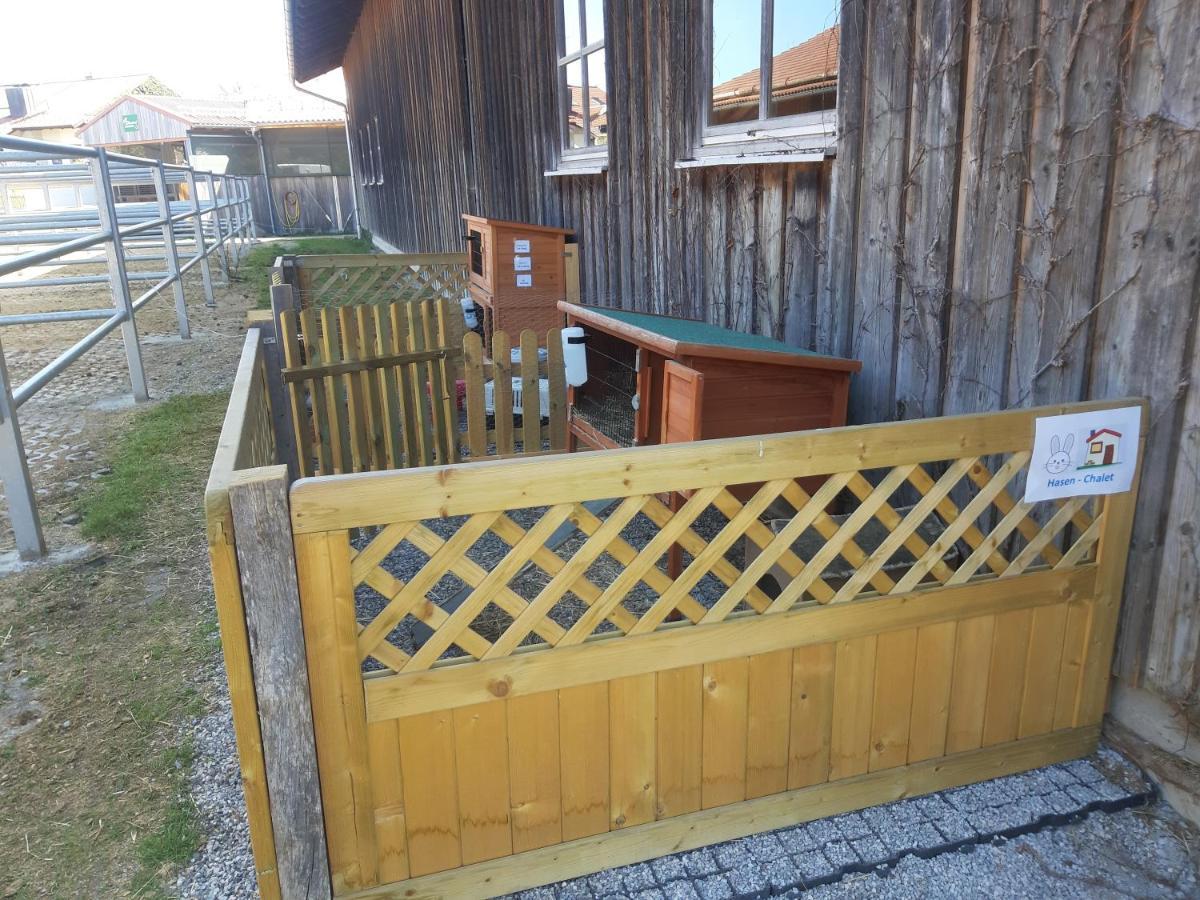 Ferienwohnung Pferdehof Pankratz Iffeldorf Екстериор снимка